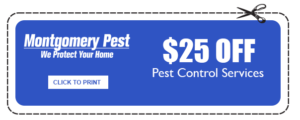 Pest Control Services Coupon by Montgomery Pest Control